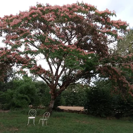 Dom wakacyjny Du Mas Davet *