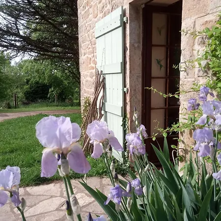 Dom wakacyjny Du Mas Davet